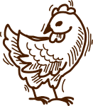 Organic Chicken